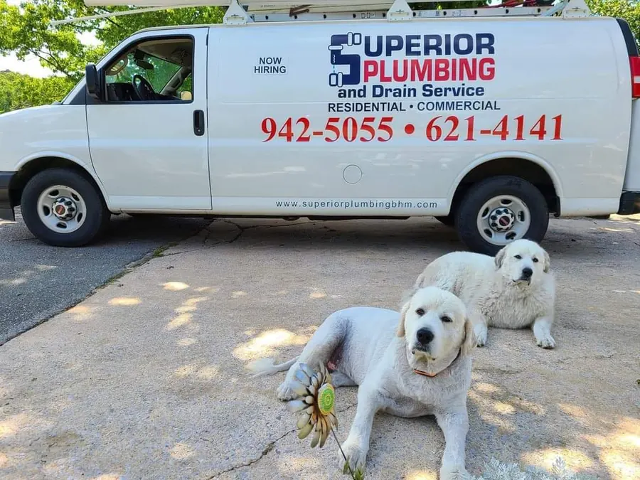 Superior Plumbing & Drain LLC, plumber in Homewood